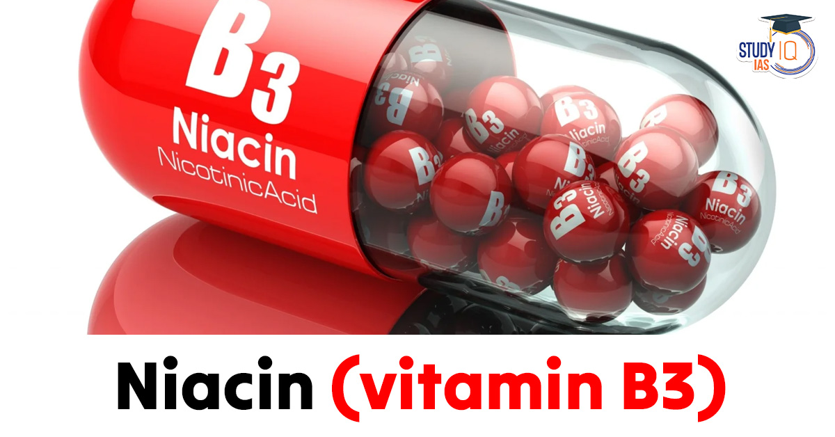 Niacin (Vitamin B3) Supplement