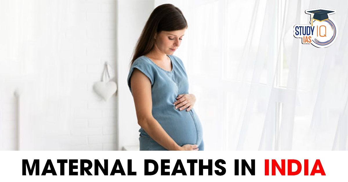 Maternal Deaths in India