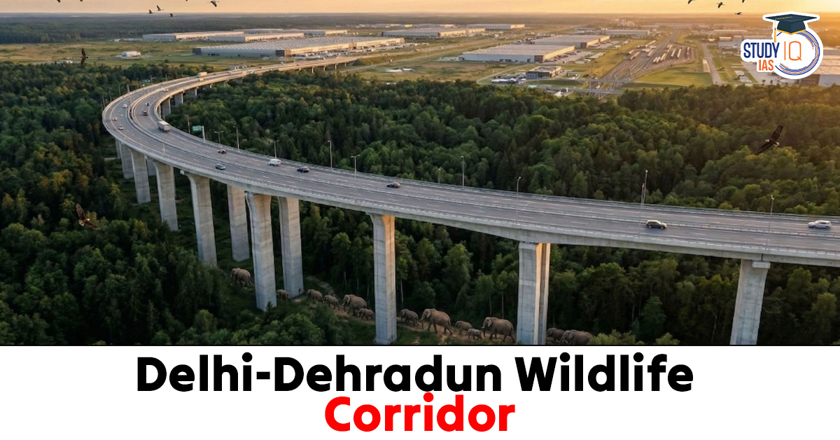 Delhi–Dehradun Wildlife Corridor