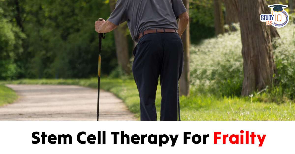 Stem Cell Therapy for Frailty