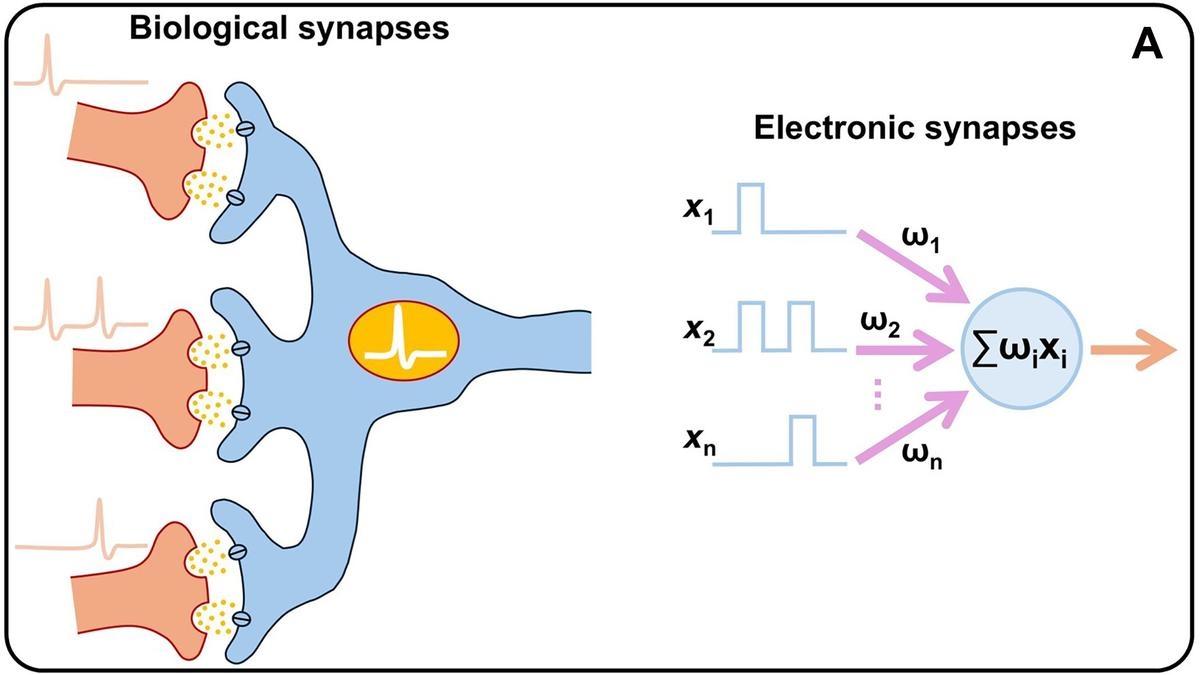 Memristor