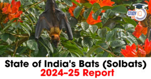 State of India's Bats (SoIbats) 2024–25 Report