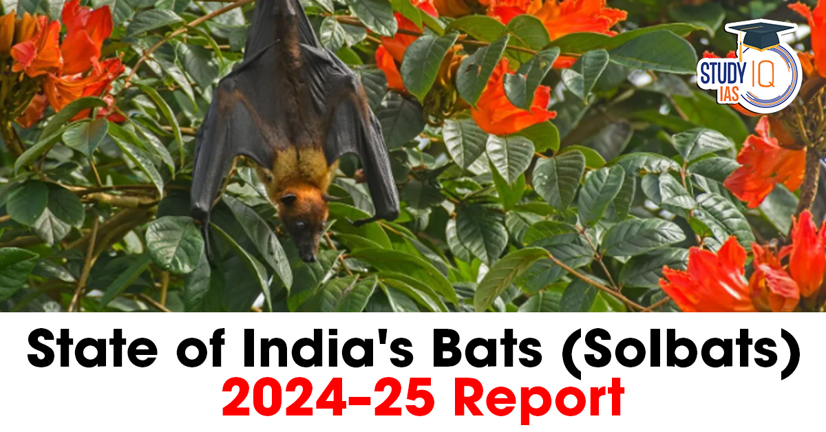 State of India's Bats (SoIbats) 2024–25 Report