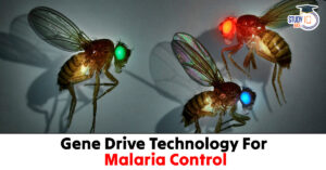 Gene Drive Technology for Malaria Control