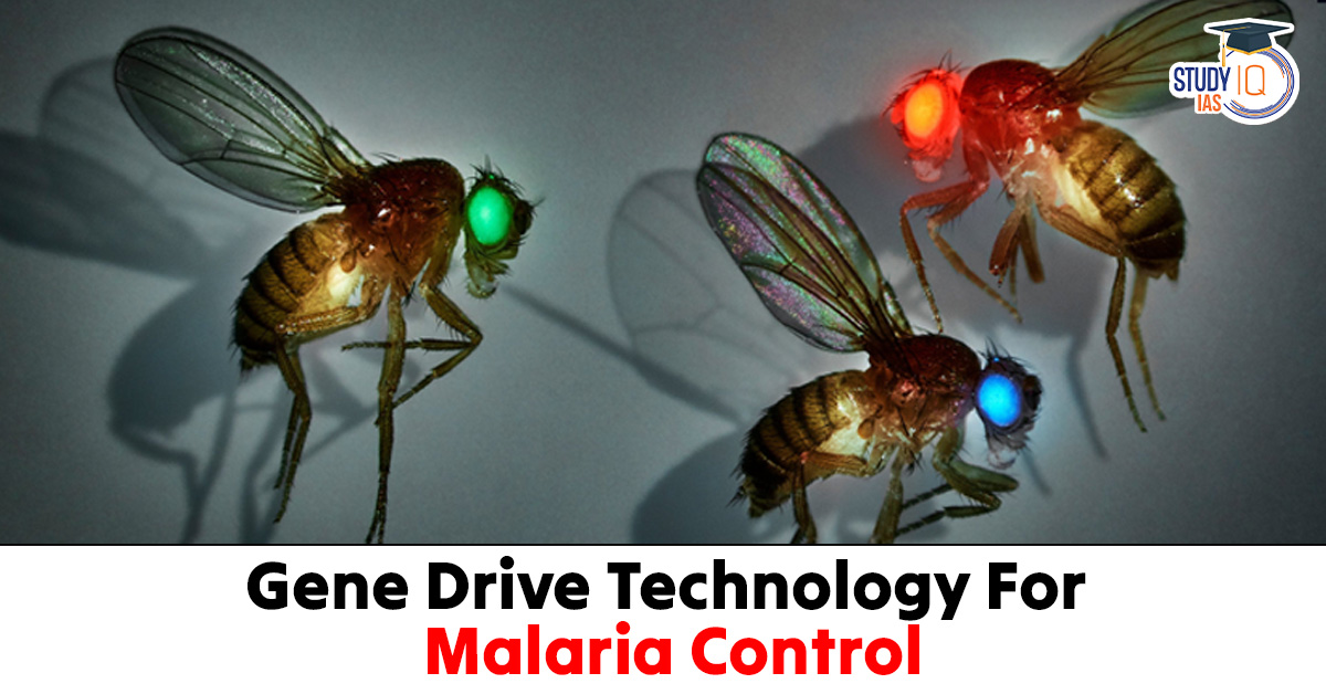 Gene Drive Technology for Malaria Control