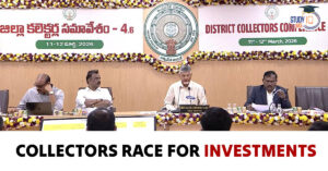 Collectors Race for Investments: District-Level Competition for Growth