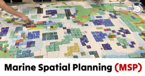 Marine Spatial Planning (MSP)
