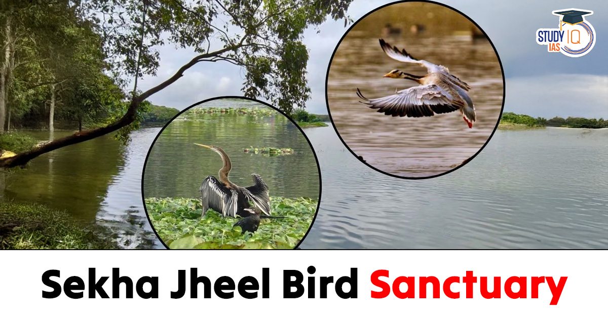 Sekha Jheel Bird Sanctuary