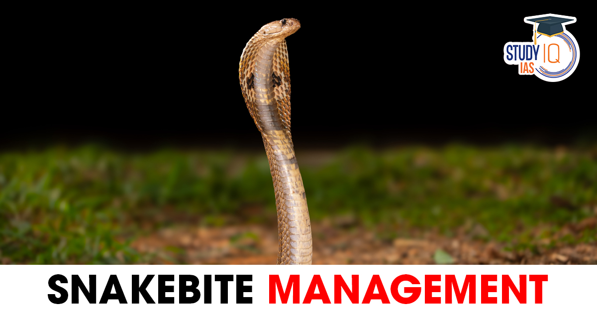 Snakebite Management