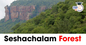 Seshachalam Forest