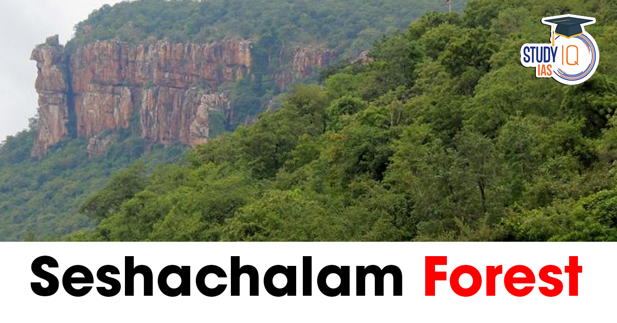 Seshachalam Forest