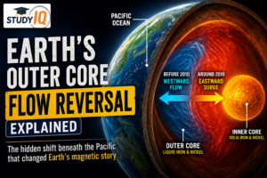Earth’s Outer Core Flow Reversal