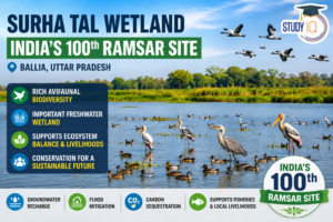 Surha Tal Wetland