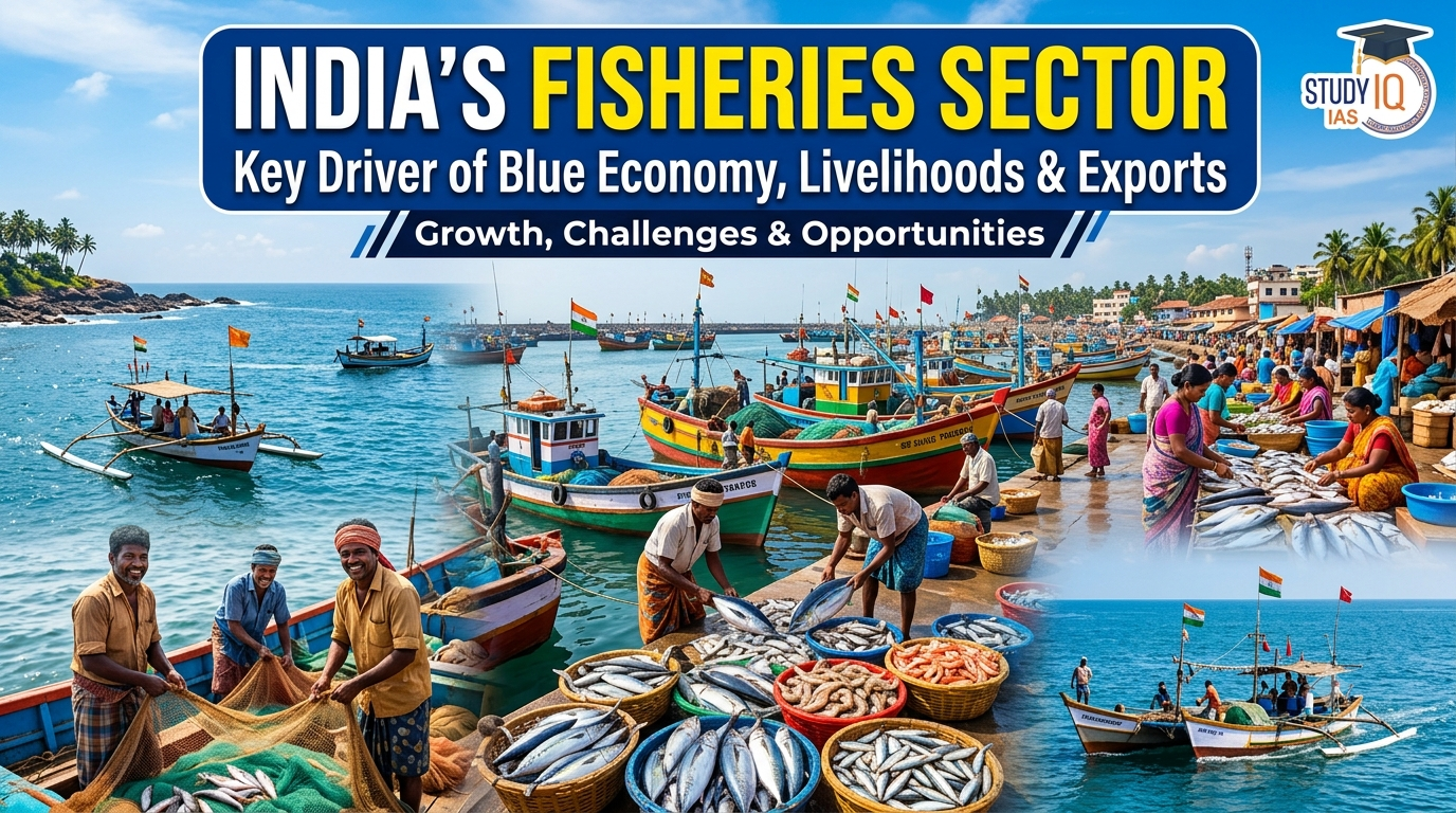 India's Fisheries Sector