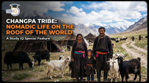 Changpa Tribe