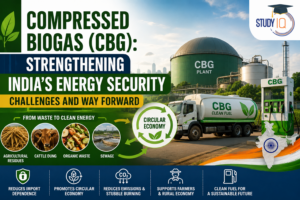 Compressed Biogas