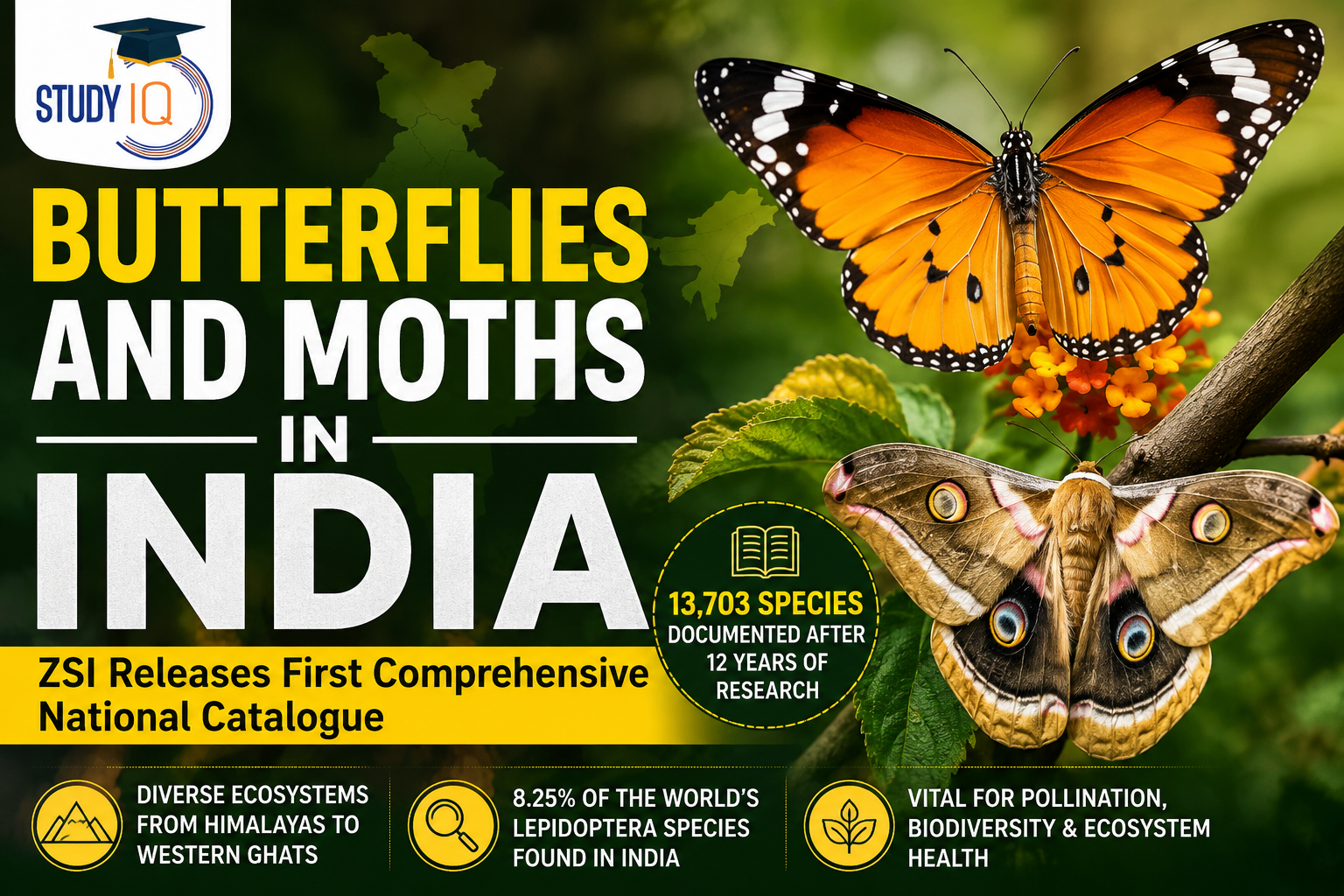 Butterflies and Moths in India