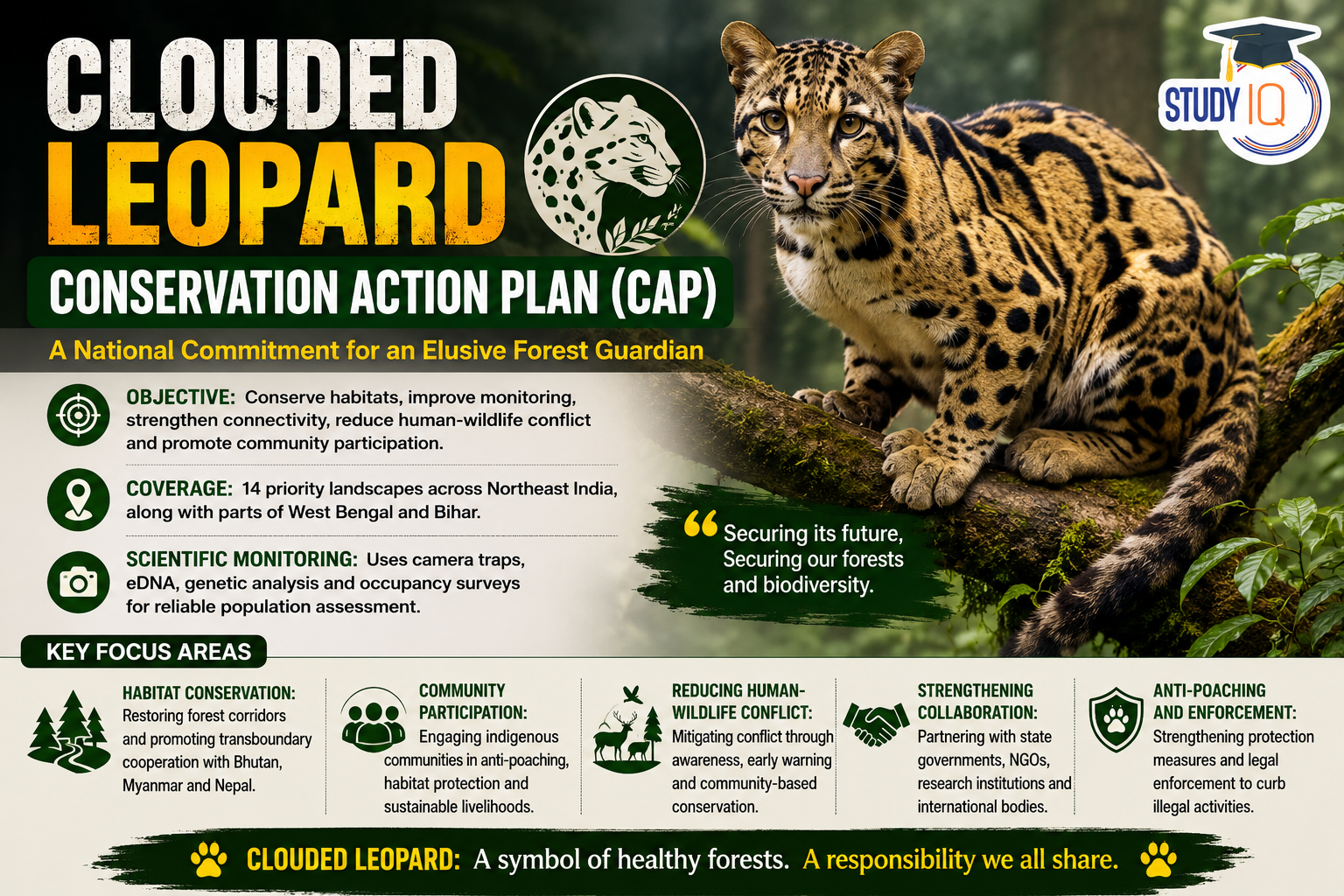 Clouded Leopard Conservation Action Plan