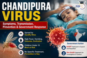 Chandipura Virus