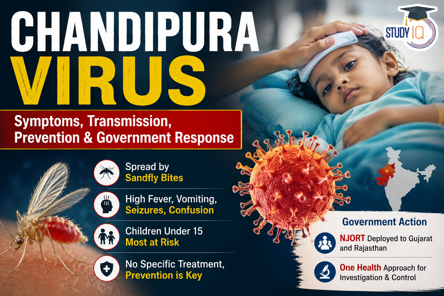 Chandipura Virus