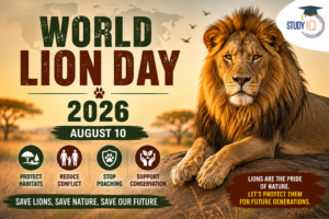 World Lion Day 2026