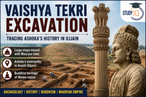 Vaishya Tekri Excavation: