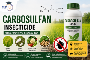 Carbosulfan Insecticide