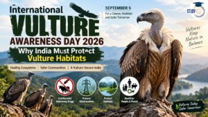 International Vulture Awareness Day 2026