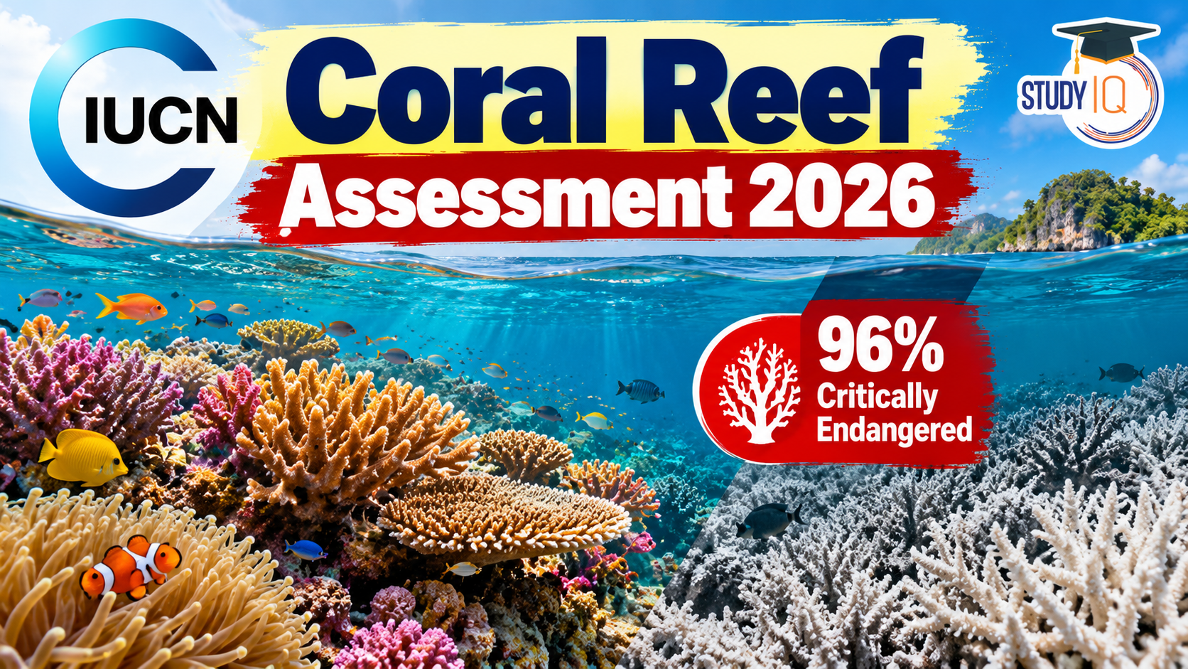 Coral Reef Assessment 2026 Infographic